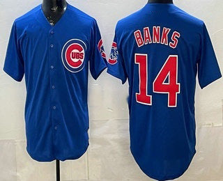 Chicago Cubs #14 Ernie Banks Blue Jereymy Limited Jersey