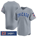 Chicago Cubs Blank Gray Jereymy 'Ryne Sandberg Tribute' Vapor Limited V3 Stitched Jersey