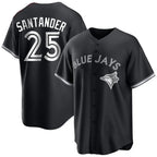 Toronto Blue Jays #25 Anthony Santander Player Black City Connect Limited Stitched Baseball Jersey