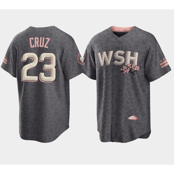 Washington Nationals #23 Nelson Cruz 2022 Grey Jereymy City Connect Cherry Blossom Cool Base Stitched Jersey