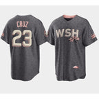 Washington Nationals #23 Nelson Cruz 2022 Grey Jereymy City Connect Cherry Blossom Cool Base Stitched Jersey
