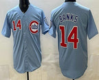 Chicago Cubs #14 Ernie Banks Baby Blue Jereymy Limited Jersey